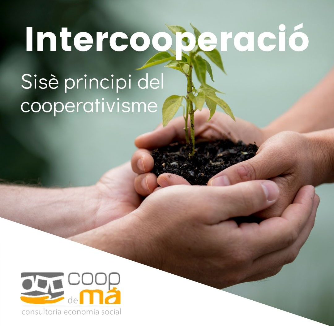 INTERCOOPERACIÓN: Sexto principio del cooperativismo